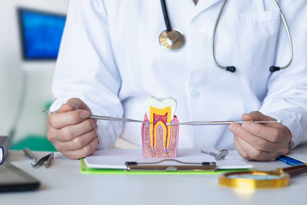 Best Emergency Tooth Extraction in Lawtey, FL